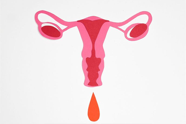 Illustration of a uterus with a drop of blood, representing the menstrual cycle